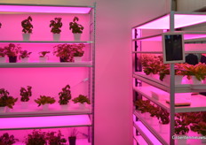 Bever Innovations is celebrating it’s 25th anniversary this year.